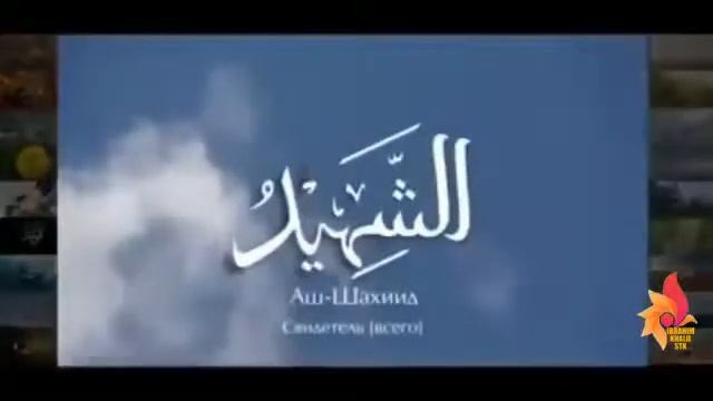 Нашид смотреть онлайн