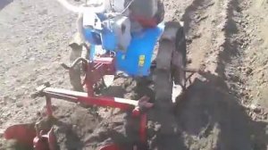 Нарезание борозд мотоблоком Нева