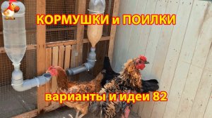 Кормушки и поилки для кур своими руками (82) 🪚✂️ Пошаговая инструкция как сделать 🐔 🐓❣️