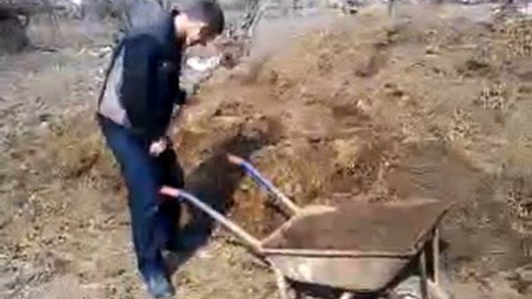 бегум-саров