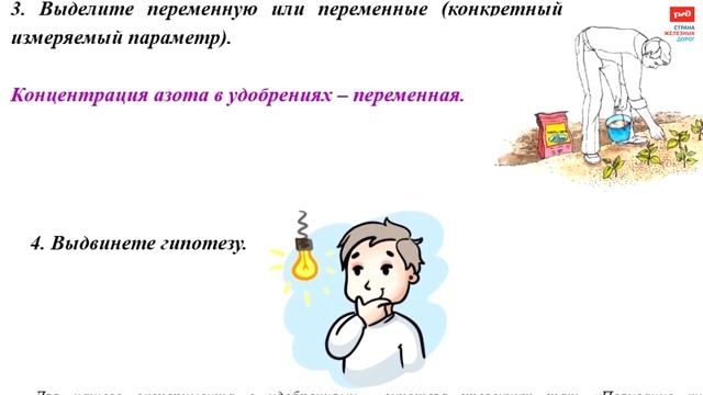 Методы исследовательской работы. Эксперимент смотреть онлайн