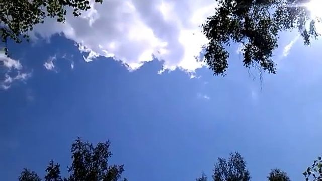 Beauty of the Siberian nature смотреть онлайн