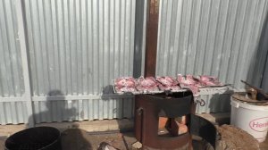 свежепойманный карась горячего копчения