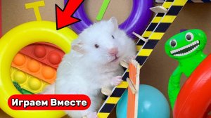 Хомяк проходит лабиринт с ловушками и поп-итами ! Приключение для детей ! Видео для детей !