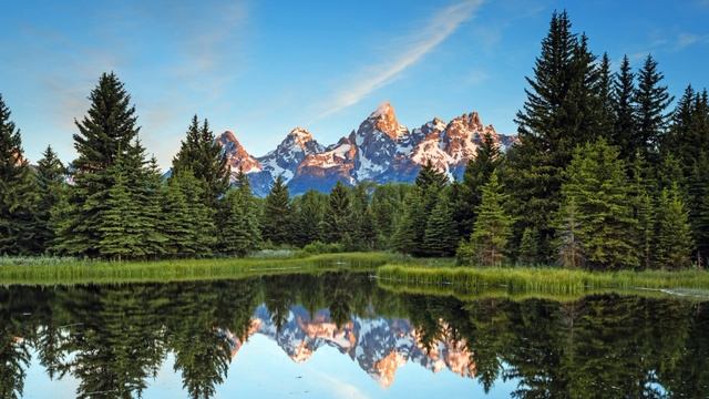 Псалом 12 (Тегилим 13) на русском и иврите