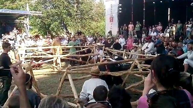 Битва середньовічних лицарів - 2 смотреть онлайн