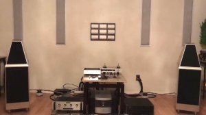 Wilson audio watt puppy 8 (2)