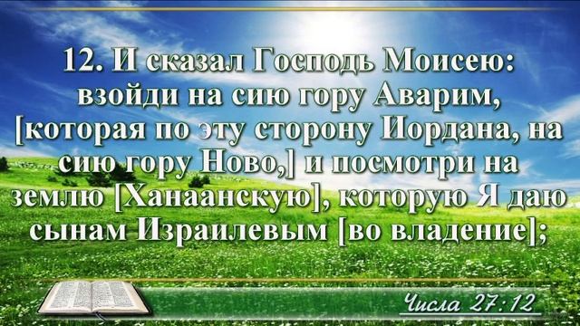 ВидеоБиблия Книга Числа без музыки глава 27 Соколов смотреть онлайн