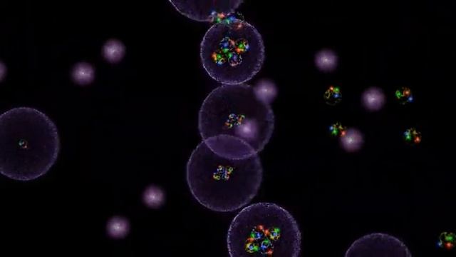 Cassiopeia Project - Chemistry - 02 Structure