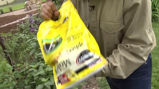 Repel Burrowing Rodents with Sweeney's Mole and Gopher Repellent смотреть онлайн