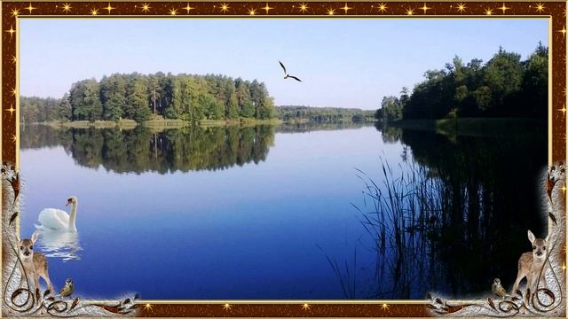 Разве забудешь...