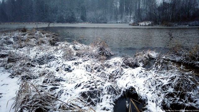 Snowy day on the river in 4K UHD | Quiet sounds of the elements for sound sleep and calmness смотреть онлайн