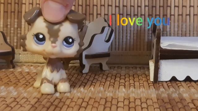 LPS: проверка на знание английского языка.🥰 (шуточное видео) смотреть онлайн