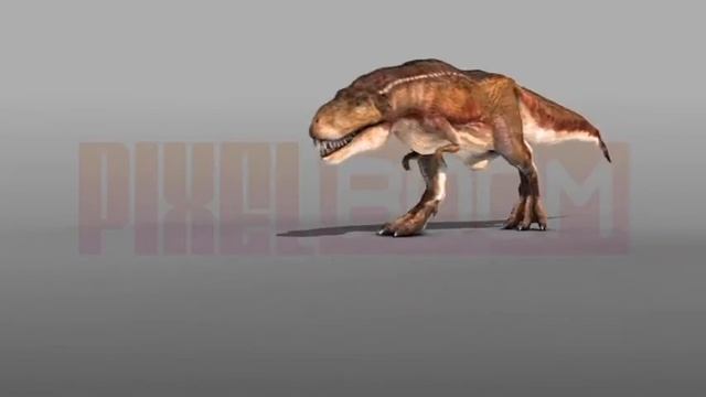 3D Animations DINOSAURS Mega Pack 1 - Green Screen PixelBoom CG смотреть онлайн