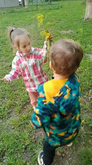 Аленький Цветочек|Тима Подарил Цветочки#shorts #цветочки #подарил#shortvideo #instagram смотреть онлайн