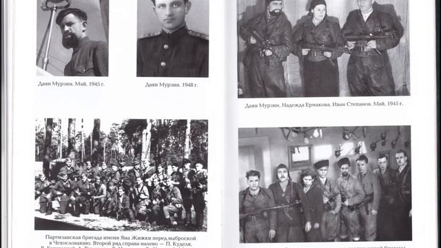 Обзор книги Даяна Мурзина "Фронт в тылу врага". смотреть онлайн