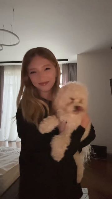 в рассказала как зовут мою новую собачку!!#ПопадувРек #миланатур #миланатут #миланаФилимонова смотреть онлайн