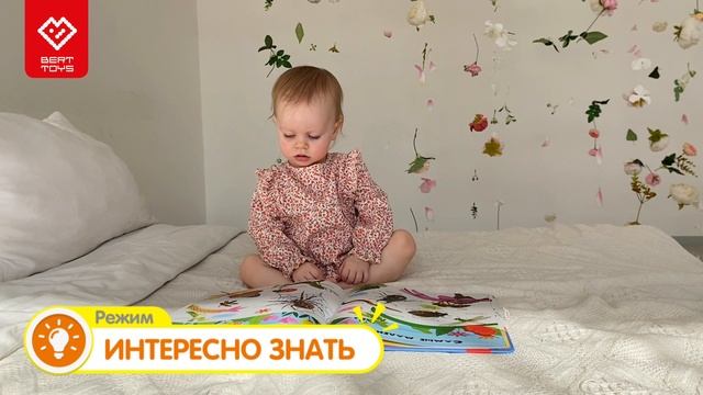 Большая говорящая Нажималка от BertToys. Интерактивная книга для детей смотреть онлайн