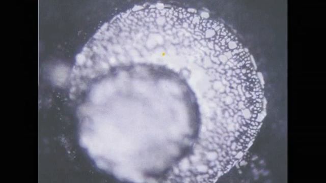 Живая Вода, первая часть. смотреть онлайн