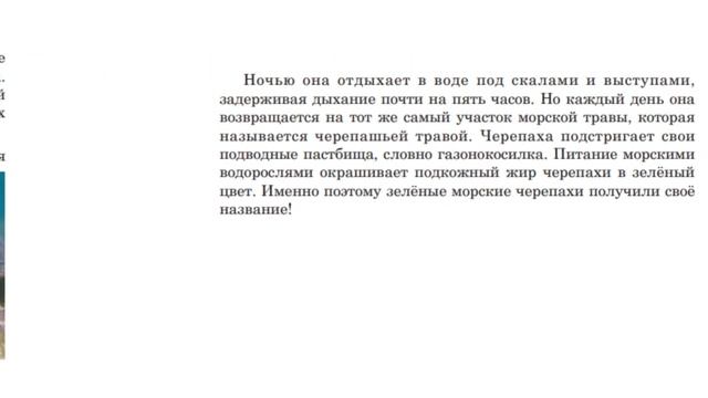 Развиваем функциональную грамотность чтения. Подготовка к PIRLS смотреть онлайн