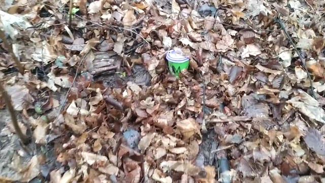 Нашел гриба мутанта смотреть онлайн