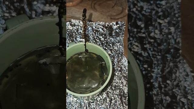 В ожидании прихода Марены🌀🌑🖤 смотреть онлайн