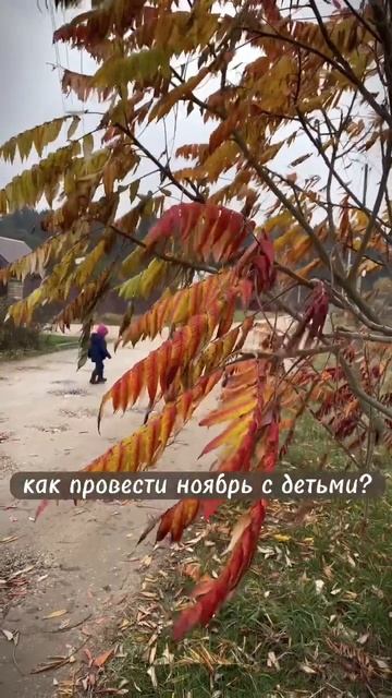 десять идей чем заняться с ребенком в ноябре смотреть онлайн