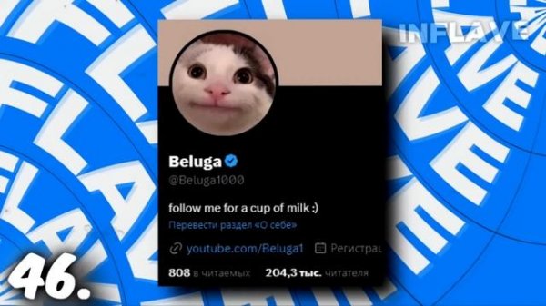 100 фактов про БЕЛУГУ (Beluga)