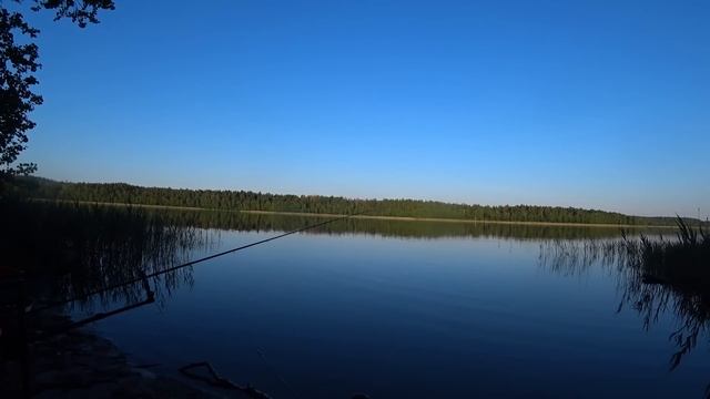 ЗАКЛЮЧИТЕЛЬНАЯ РЫБАЛКА С ЗАПРЕТОМ ||РЫБАЛКА НА ФИДЕР||БЕЛАРУСЬ оз.БЕЛОЕ||МАЙ 2024 смотреть онлайн