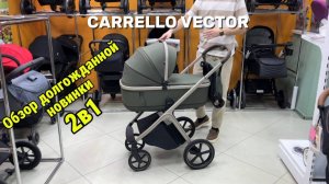 Обзор коляски Carrello Vector