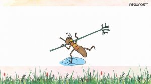 Буква Й   Дошкольники   Буквы #11   Инфоурок