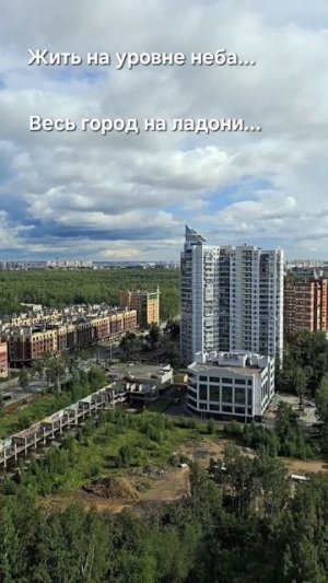 Город на ладони