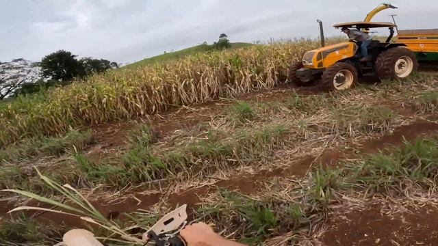 Primeiro dia fazendo silagem e enchendo o silo novo (roçavlog) смотреть онлайн