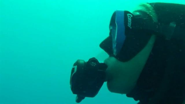 Волки Карибского моря