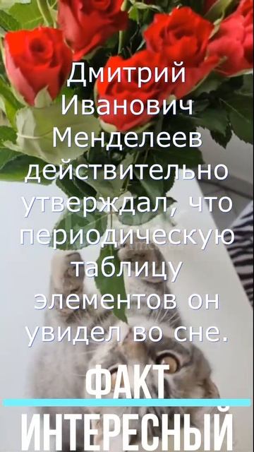 Факт про Менделеева