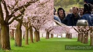 Крепкая броня, 5-6 серии, премьера 2020, анонс, дата выхода