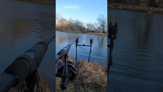Futterboot ausfahrt zum Spot +live run 🤗🎣 смотреть онлайн
