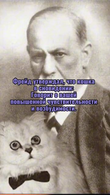 ведётся запись на бесплатный мини-курс от нашего института- ссылка в профиле смотреть онлайн