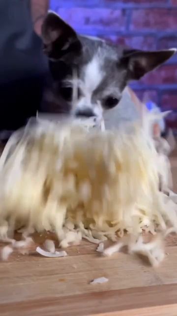 КАРТОФЕЛЬНАЯ ЗАПЕКАНКА #shorts смотреть онлайн