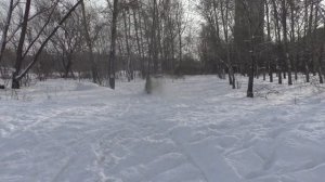 снегоход с большим колесом РАДИС