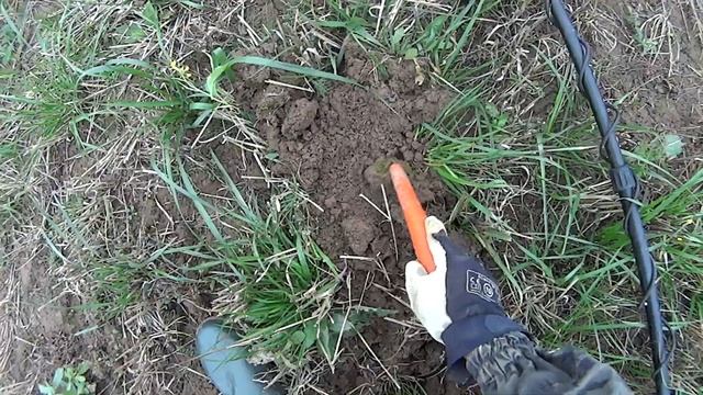 Пробую искать в режиме "ПЛЯЖ" на поле с Minelab Equinox 800 смотреть онлайн