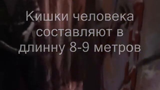 VLOG :У МЕНЯ ЕСТЬ ПАРЕНЬ???!!!ПОХОД В МУЗЕИ СПб смотреть онлайн