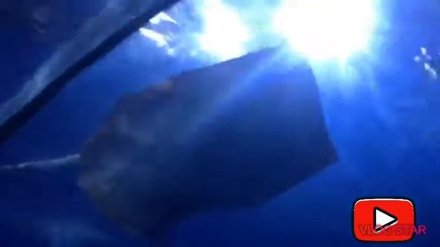 Экскурсия по Океонариуму смотреть онлайн