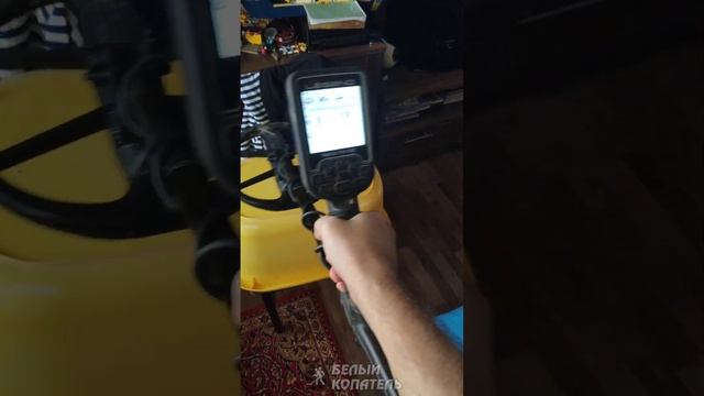 Minelab Manticore и Nokta legend кольцо на монете смотреть онлайн