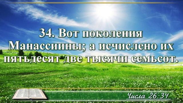 ВидеоБиблия Книга Числа без музыки глава 26 Соколов смотреть онлайн