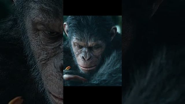 Ones Again,Caesar has lost trust Humanity !!!! смотреть онлайн