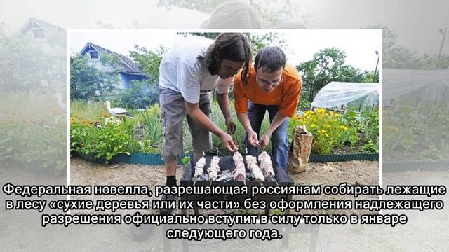 Российских дачников накажут за собак и шашлыки смотреть онлайн