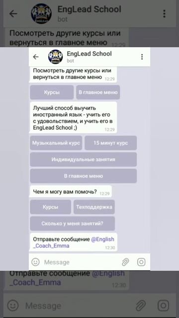 Пример чат бота для школы английского языка смотреть онлайн
