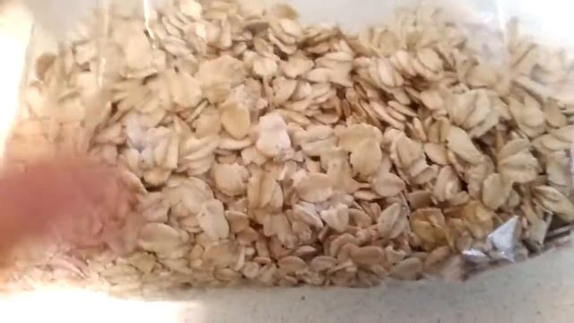 Учу английский🇬🇧,какая на завтрак овсянка☝🍚,ёлка будет стоять смотреть онлайн