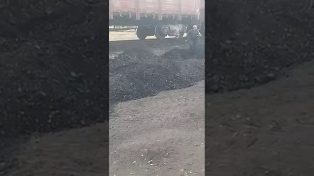 Уголь смешивают с мусором? Балпык би. Алматинская область. смотреть онлайн